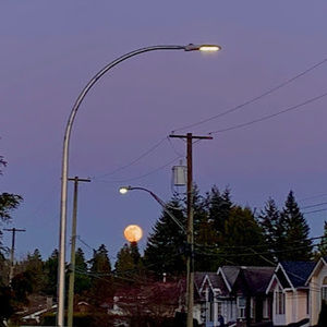 Meet your Posher, Marhaba